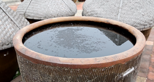 "孝感应城市恒茂食品有限公司负责人李佳剑表示,"我们就选址周边都是