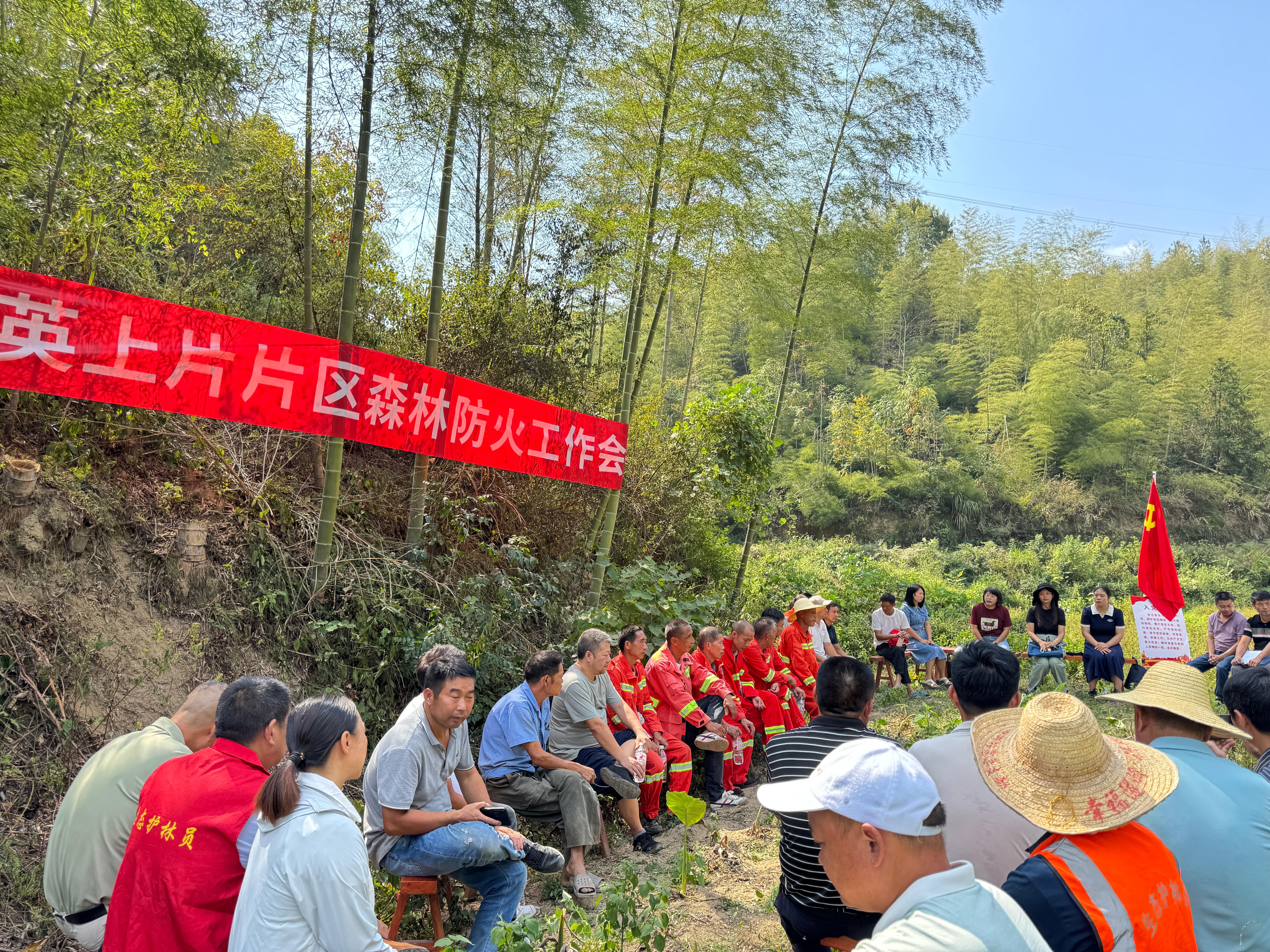 阳新县王英镇地图图片