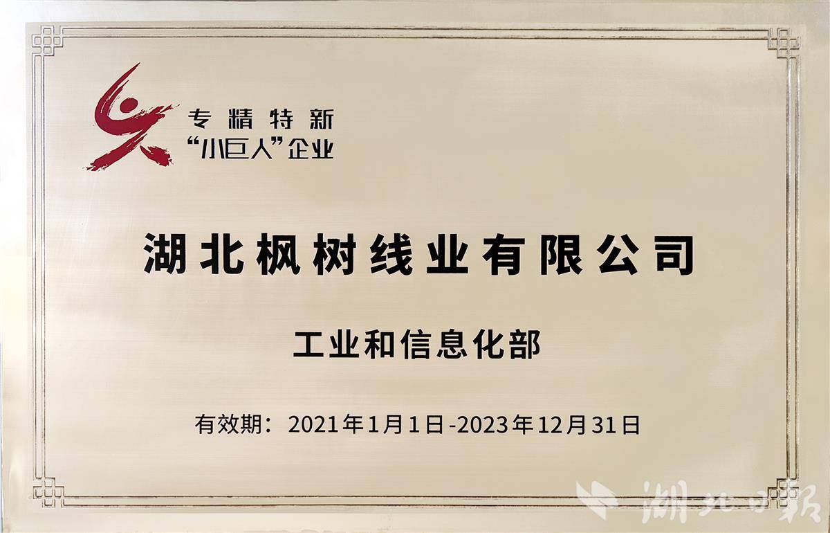 2021.1.1专精特新“小巨人”企业（2021.1.1-2023.12.31）.jpg