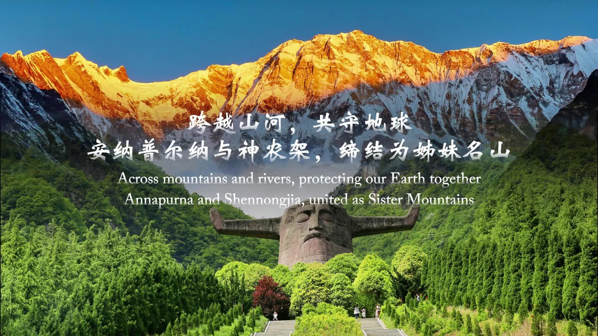 新晋世界级名片！神农架获评“世界旅游名山”