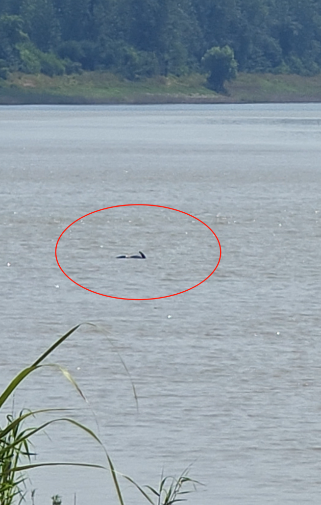 wechat_2025-08-06_150508_163.png wechat_2025-08-06_150508_163.png