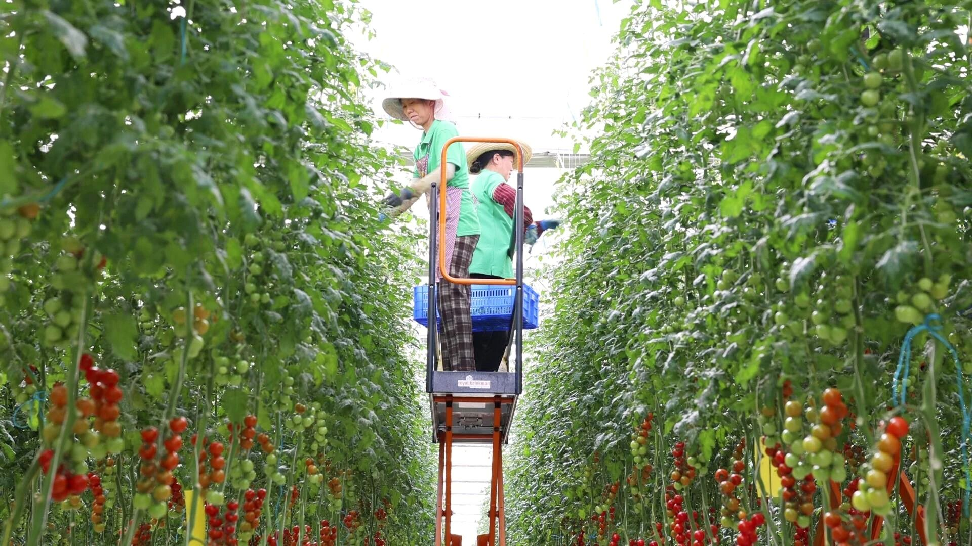 079459b621c72425ca332185f298a1c.png 079459b621c72425ca332185f298a1c.png