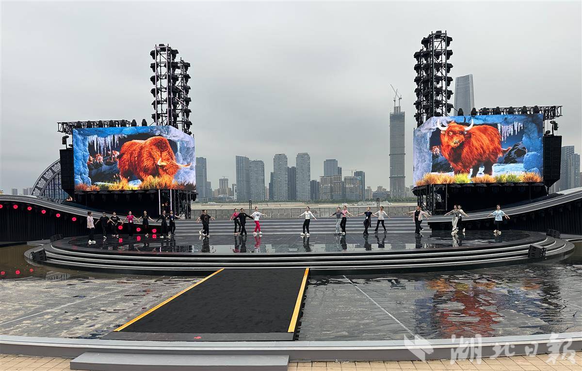 IMG_0228.JPG IMG_0228.JPG