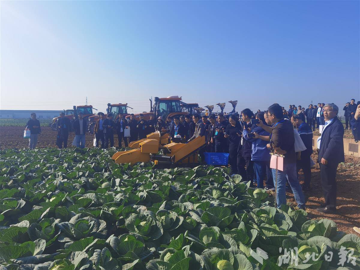 cb4e27d36ad726173482c7c9306a1d3f.jpg cb4e27d36ad726173482c7c9306a1d3f.jpg