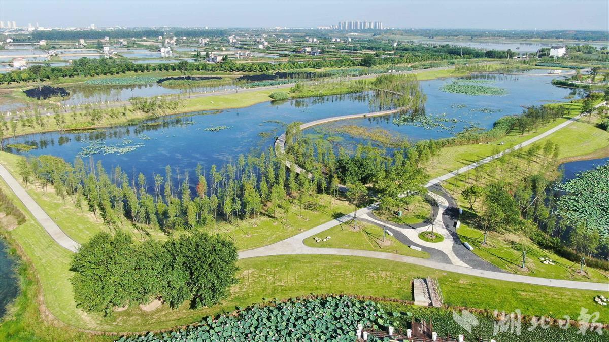 【湖北】枝江金湖国家湿地公园建成验收 - 湖北日报新闻客户端