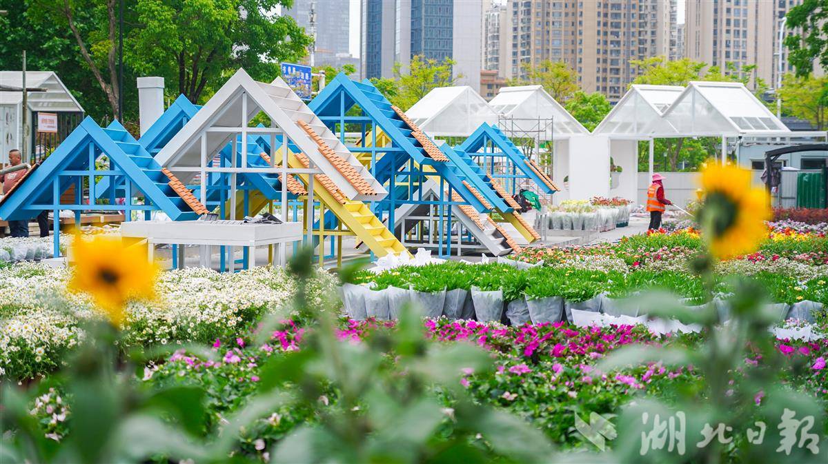 沙湖公园C区正在紧锣密鼓布展。李子云 摄-2.jpg