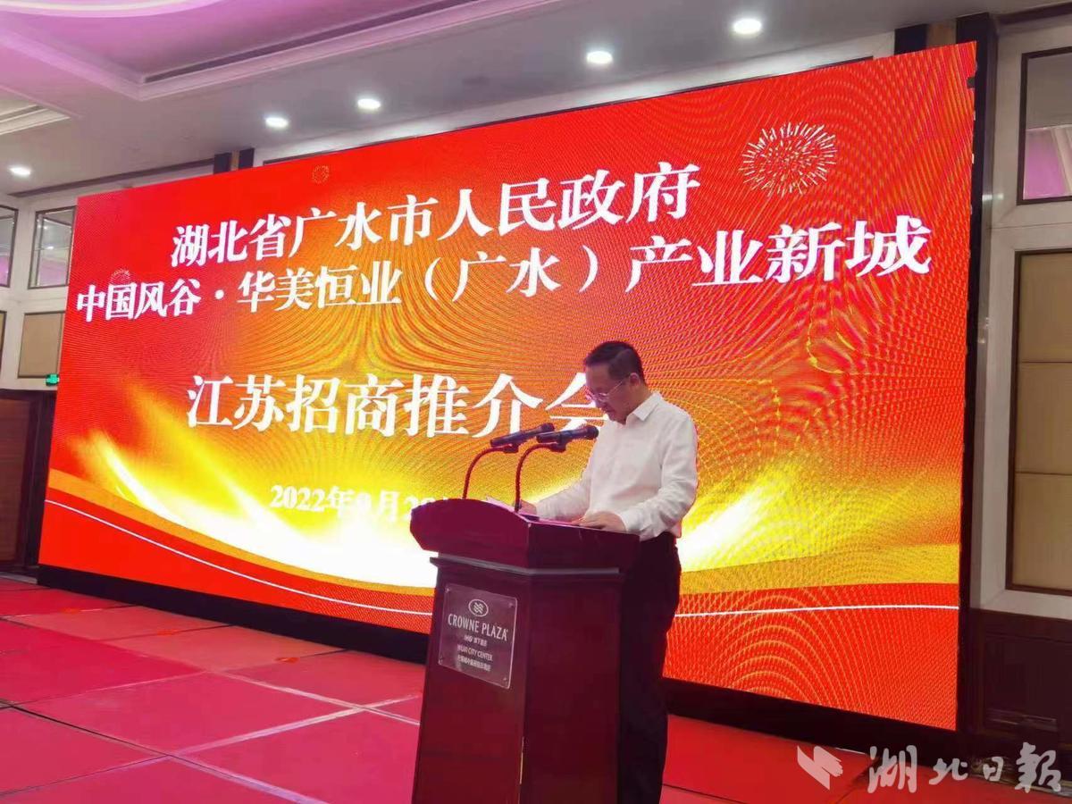 高淳区园区开发现状与前景分析