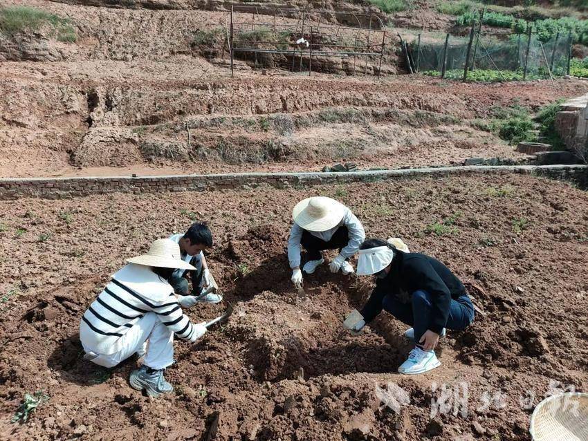 1_通讯稿2025.4.3(1)(1).docx