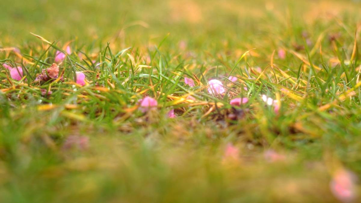 静帧 2026-02-07 082301_1.22.1.jpg