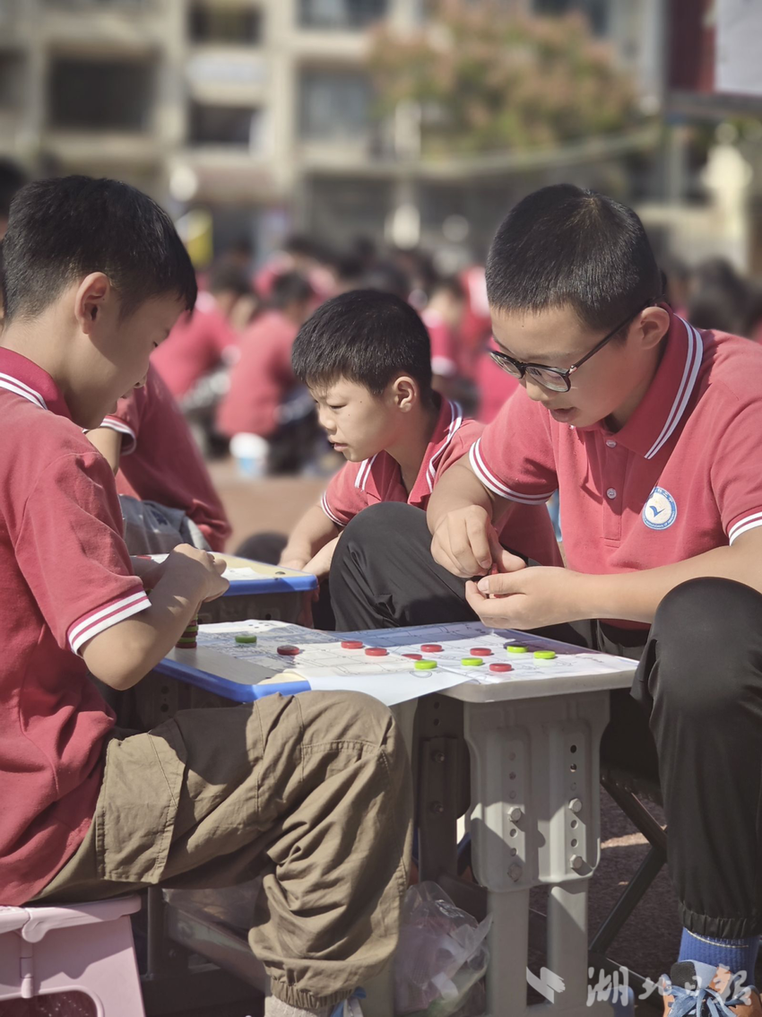 数字方棋图片