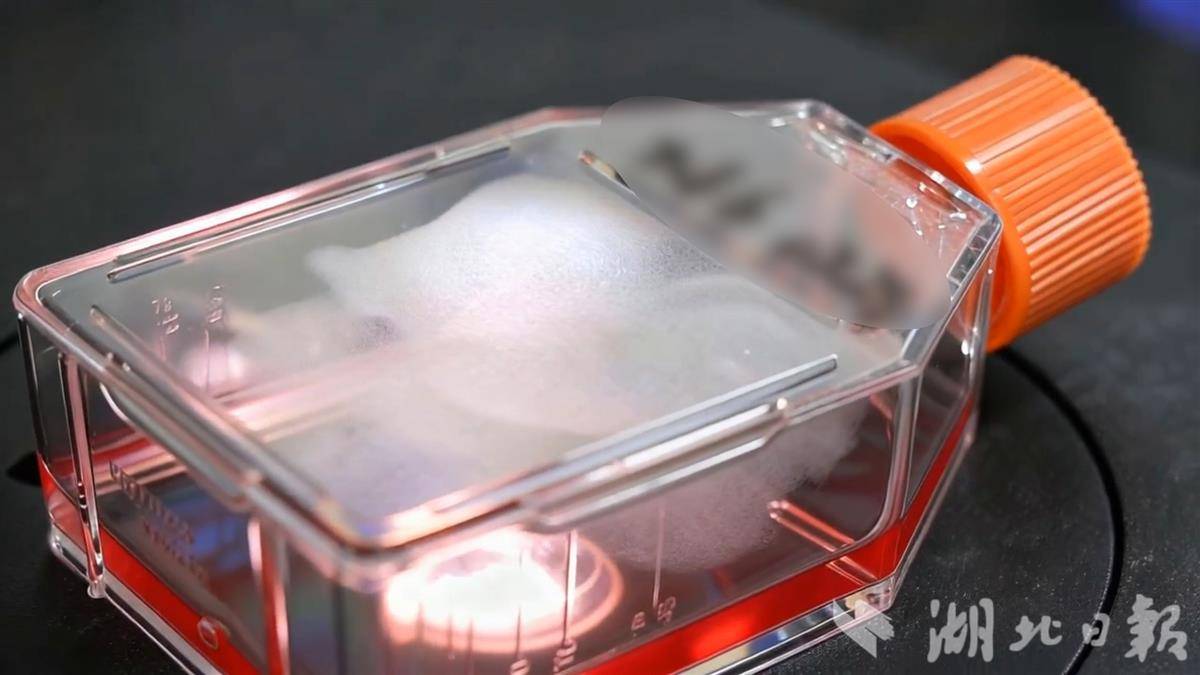 六价轮状疫苗.jpg 六价轮状疫苗.jpg