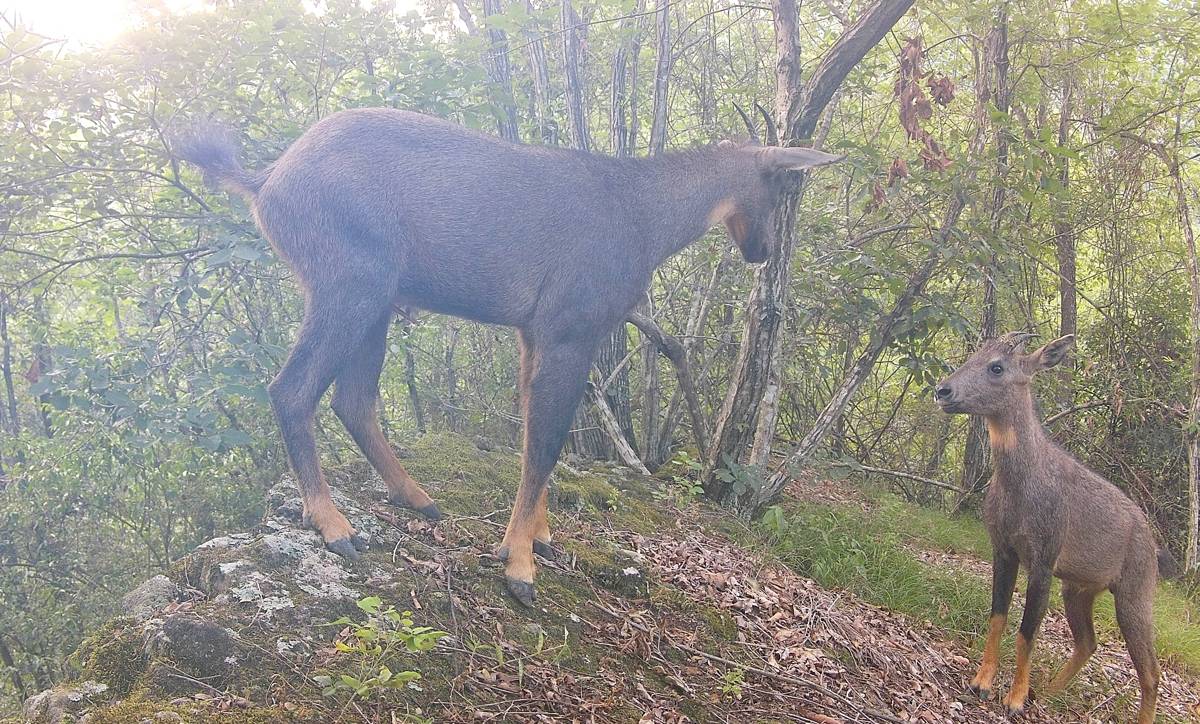 09IMAG0073.JPG 09IMAG0073.JPG