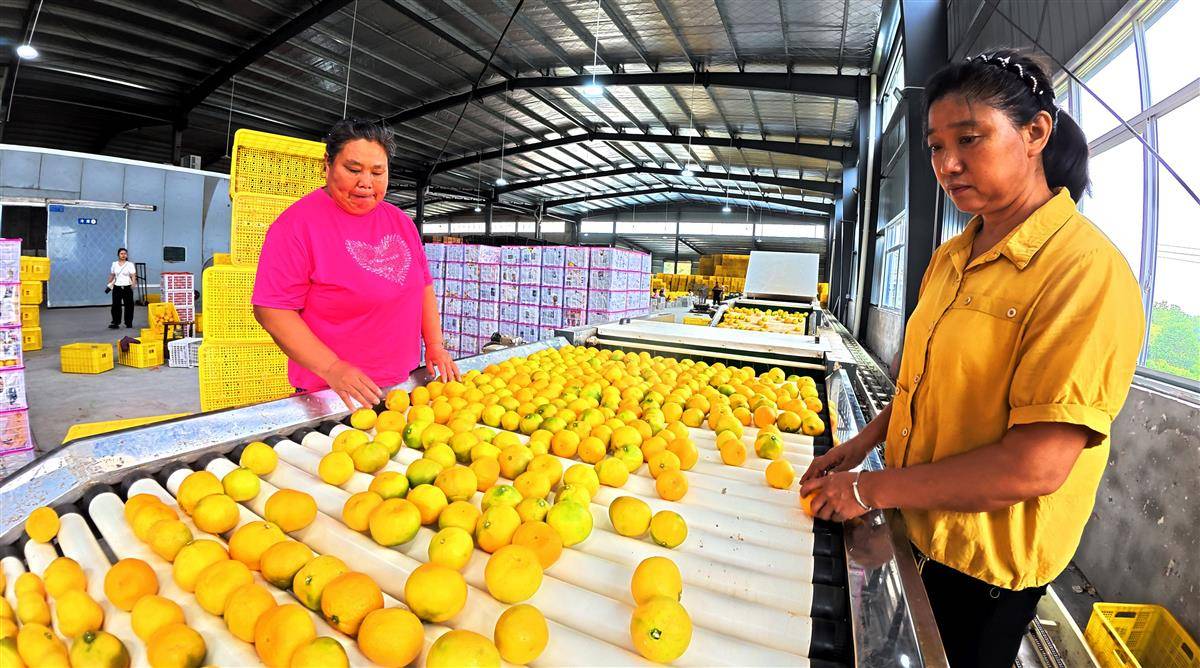 DJI_20250910094730_0018_D.jpg DJI_20250910094730_0018_D.jpg