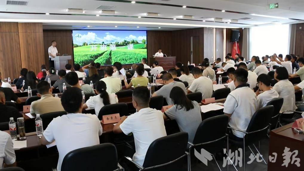 W020250716320265233480.png W020250716320265233480.png