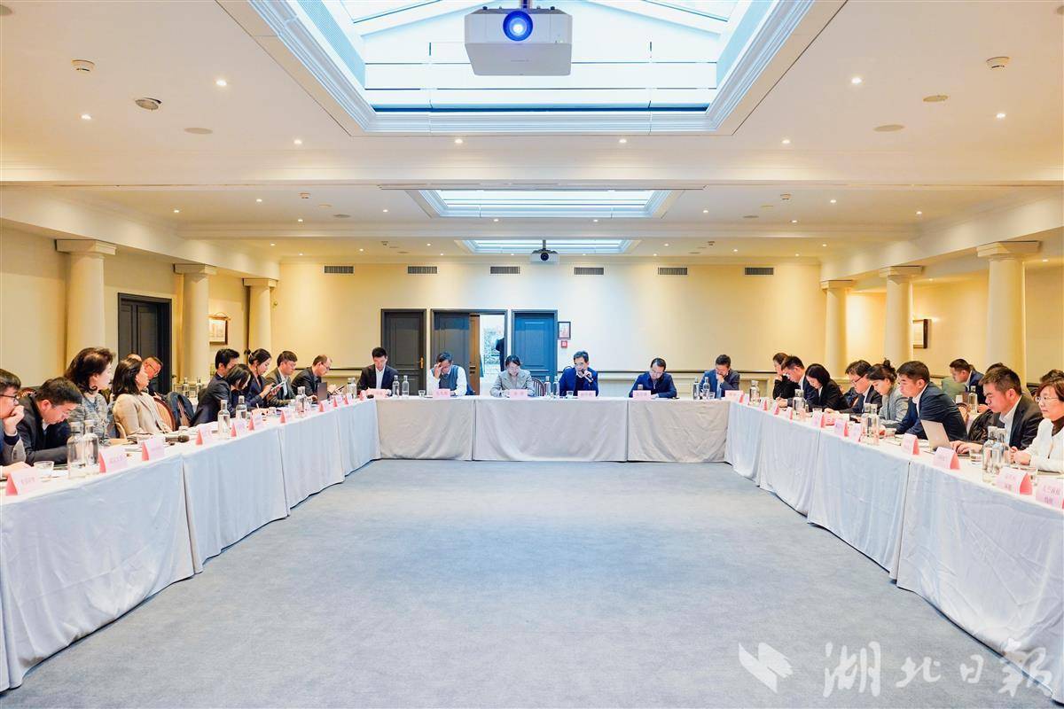 湖北省贸促会组织经贸代表团访问瑞士 奏响开放合作共赢曲 - 湖北日报新闻客户端