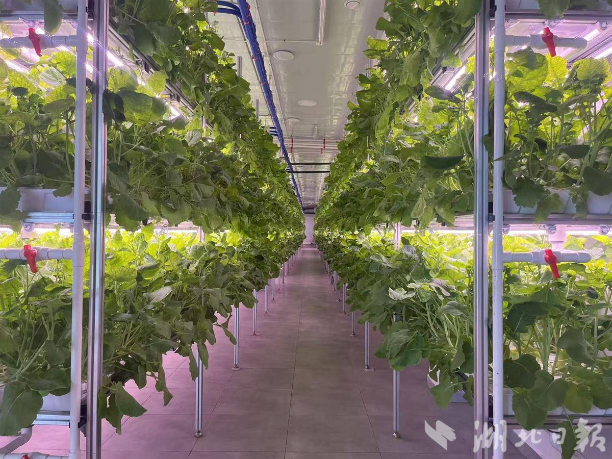 5e132bd63293c760dd17e2eb26368f87.jpg 5e132bd63293c760dd17e2eb26368f87.jpg