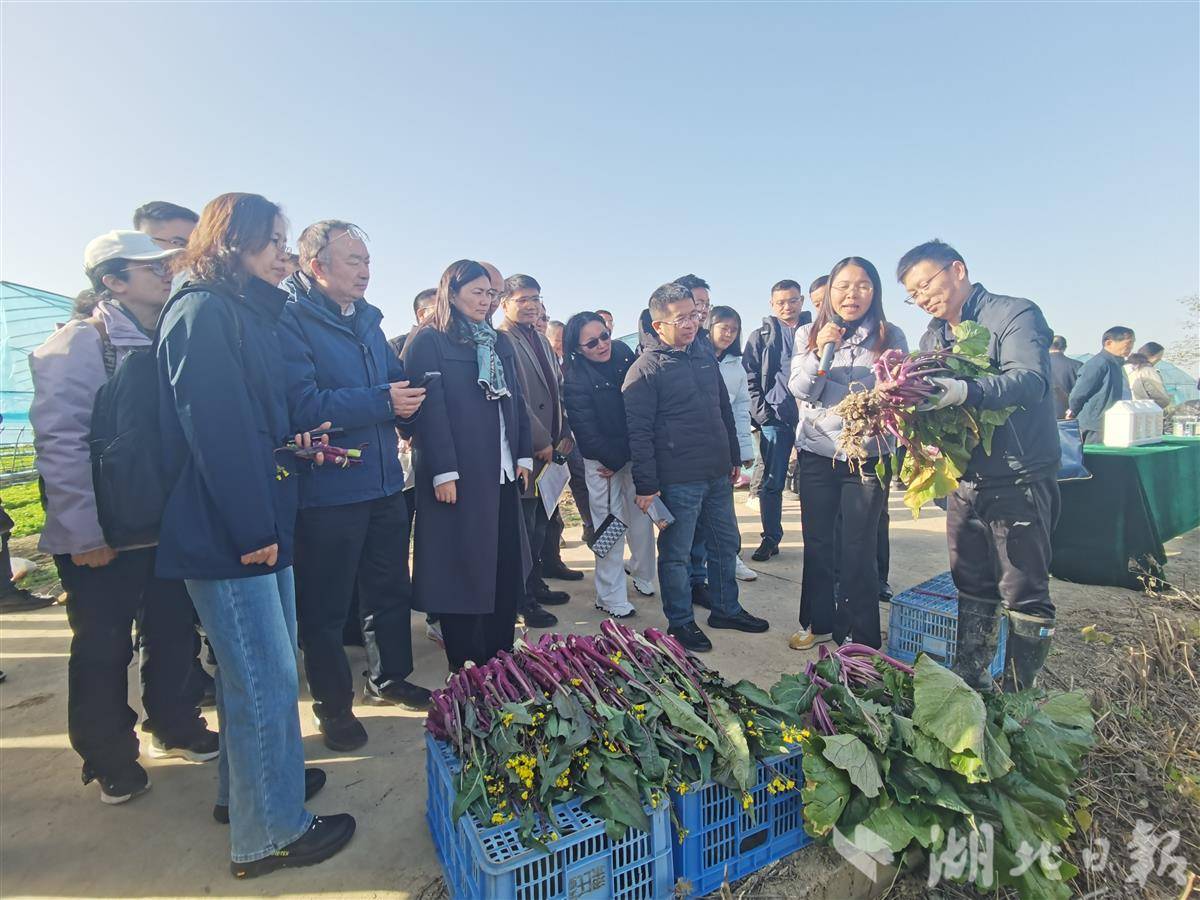 ec807d44d8cb22db626966b3bde78bb0.jpg ec807d44d8cb22db626966b3bde78bb0.jpg