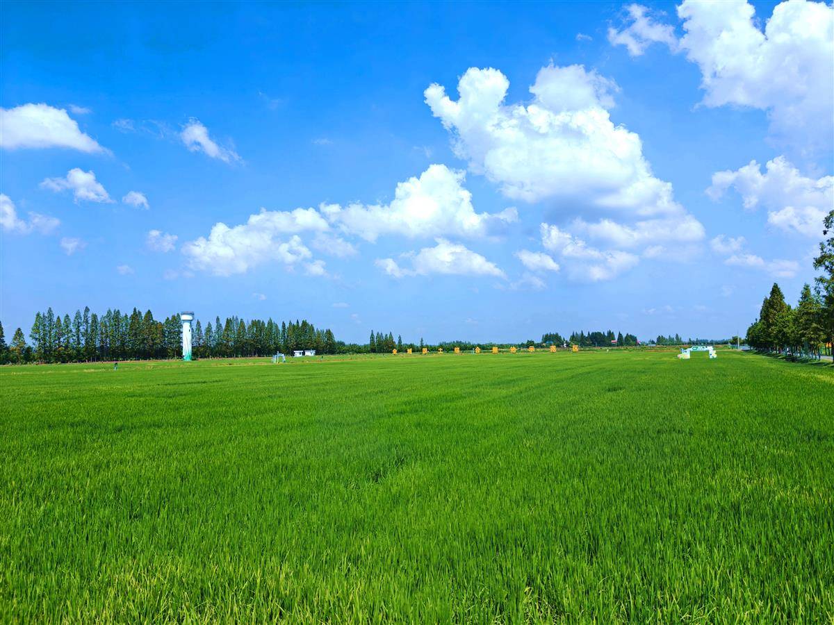 微信图片_20250914113555.jpg 微信图片_20250914113555.jpg