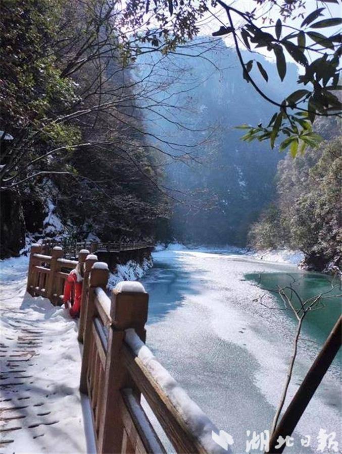 湖北野人谷景区图片图片