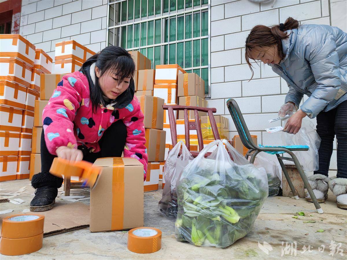 周末农民石金鹏带领村民奔富路