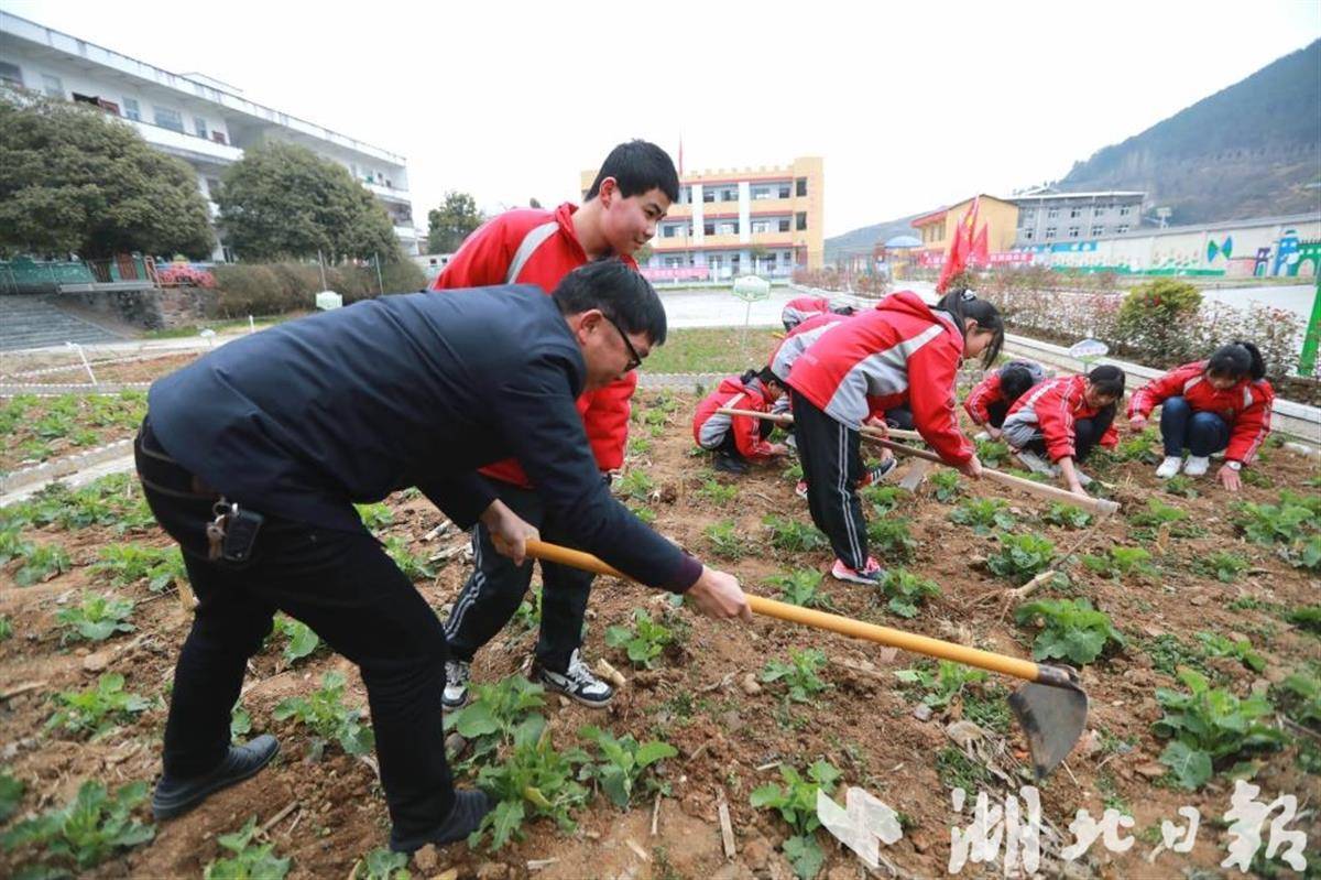 竹山縣寶豐鎮建設勞動教育實踐基地