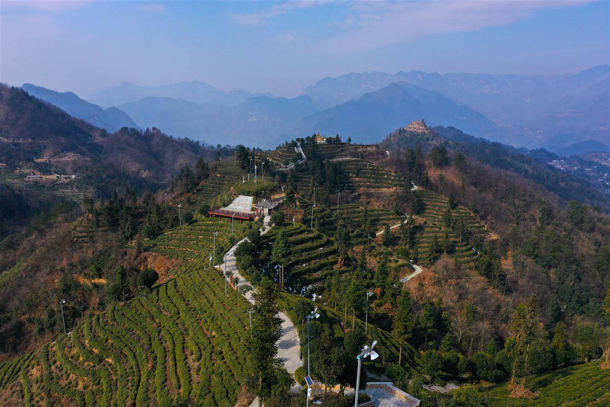 2月26日,天气晴朗,宜昌市夷陵区邓村乡茶旅小镇的近9万亩茶园青翠欲滴