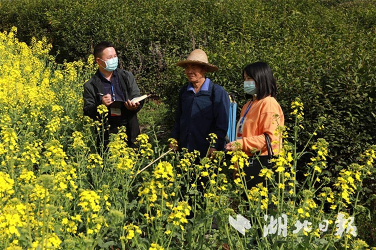 宝丰镇大走访解决群众急难愁盼问题