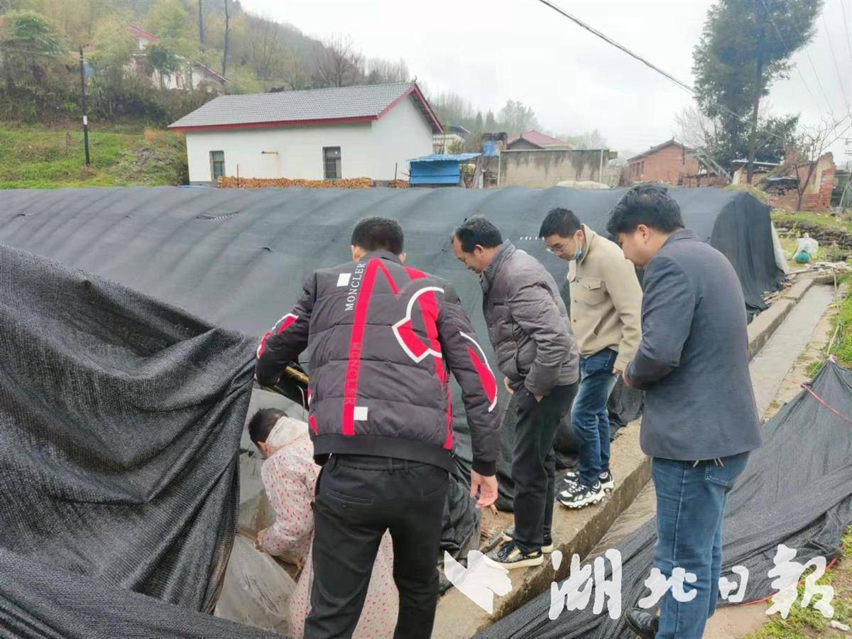 房县回龙乡三个一为春耕保驾护航