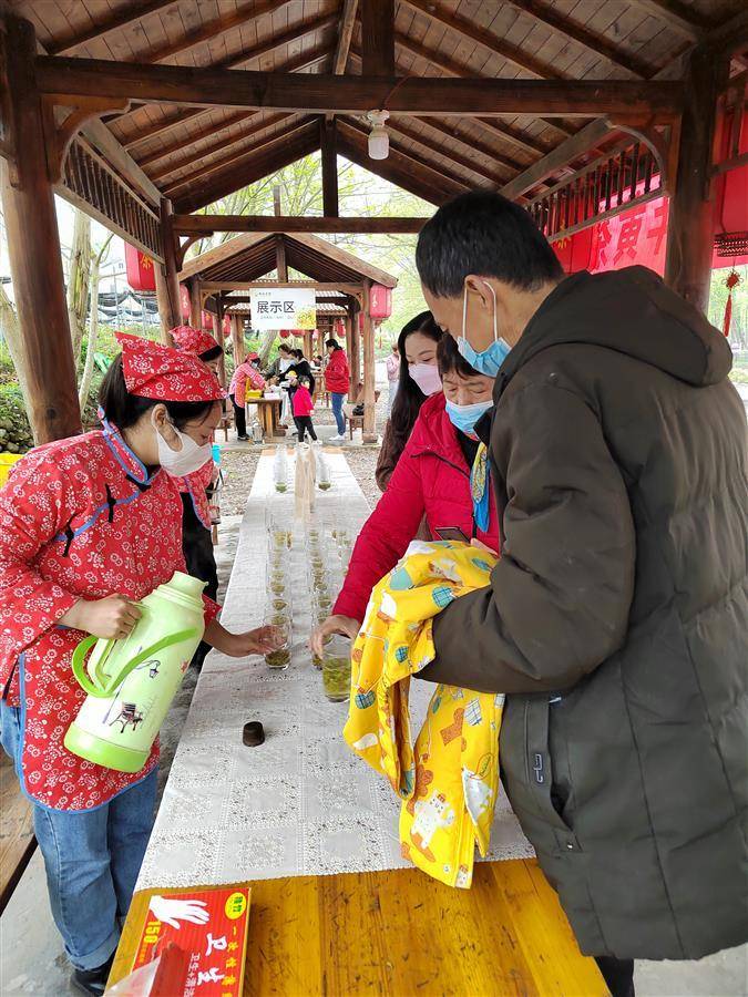 远安黄茶鹿苑村图片