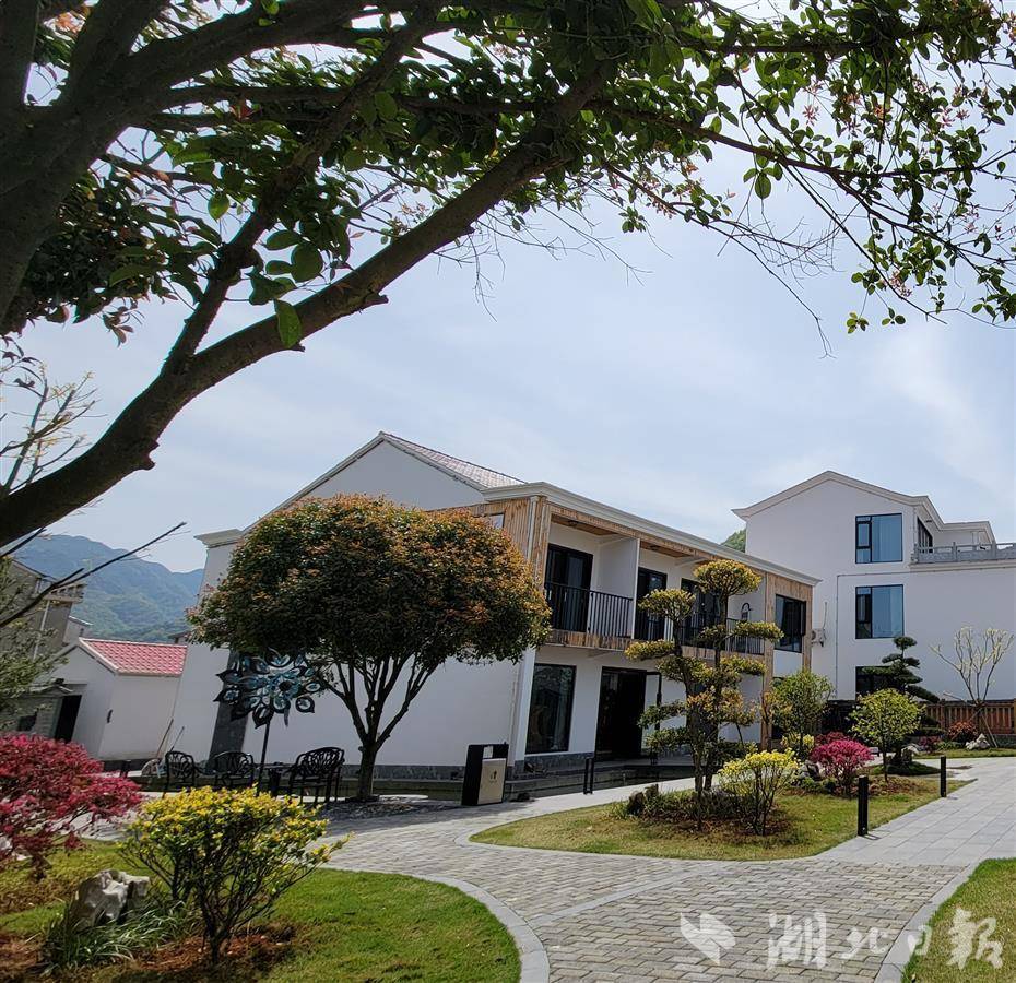 在大冶市陈贵镇南山村季公桥湾,一栋栋白色的民宿错落有致,庭院鸟语