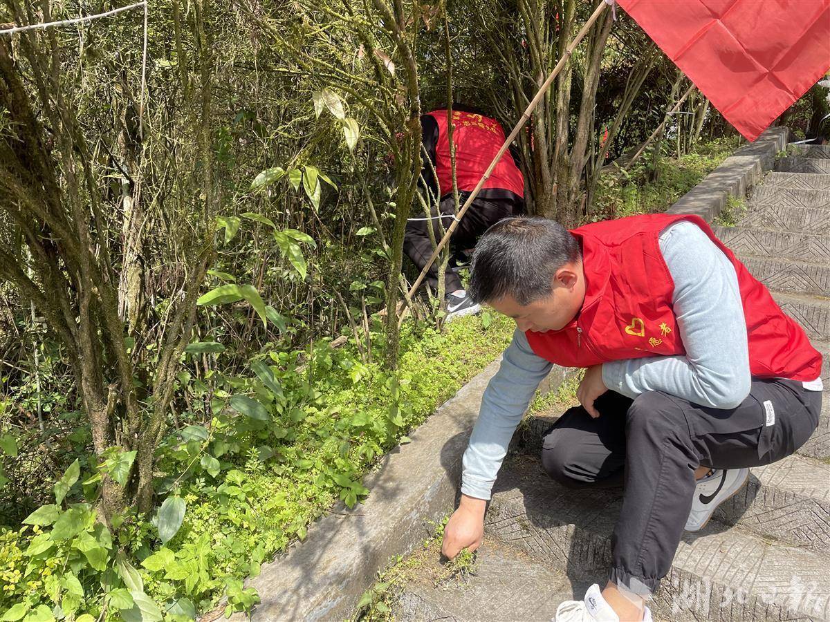 祭扫烈士墓 缅怀先烈 - 湖北日报新闻客户端