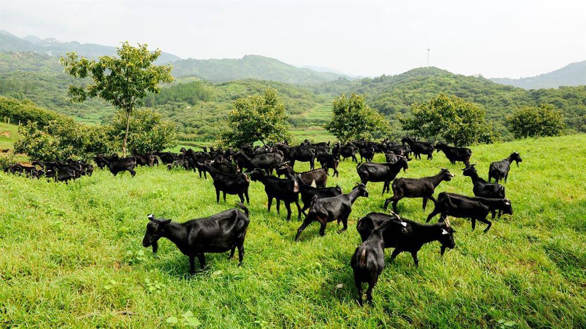 支付管理系统功能_支付管理系统_支付管理系统接口有哪些