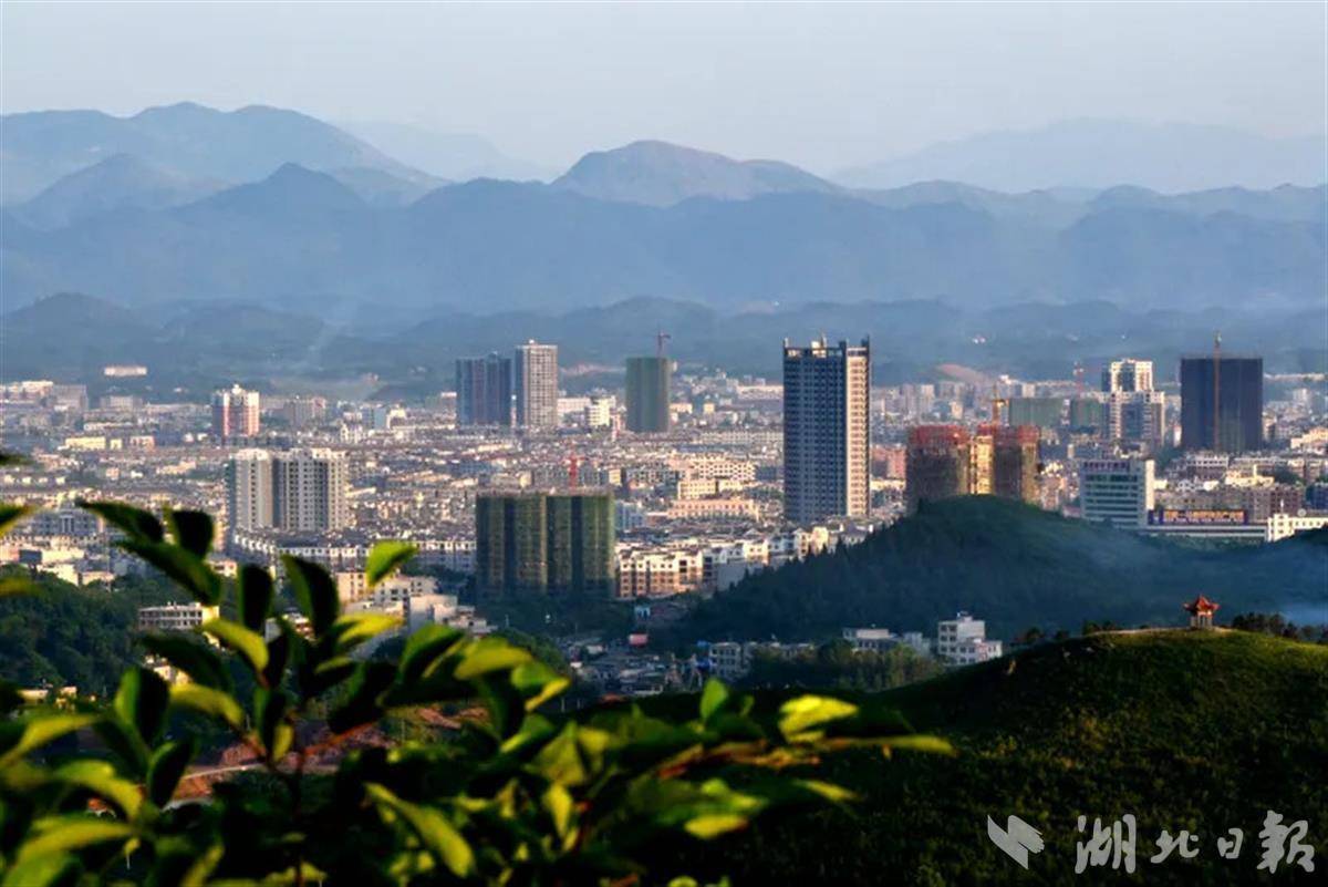 《崇阳县省级森林城市建设总体规划》通过专家评审 - 湖北日报新闻