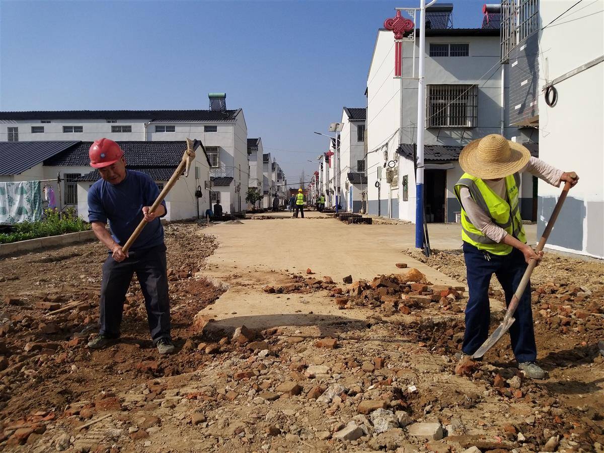 朱湖三合新村清廉村居好清新