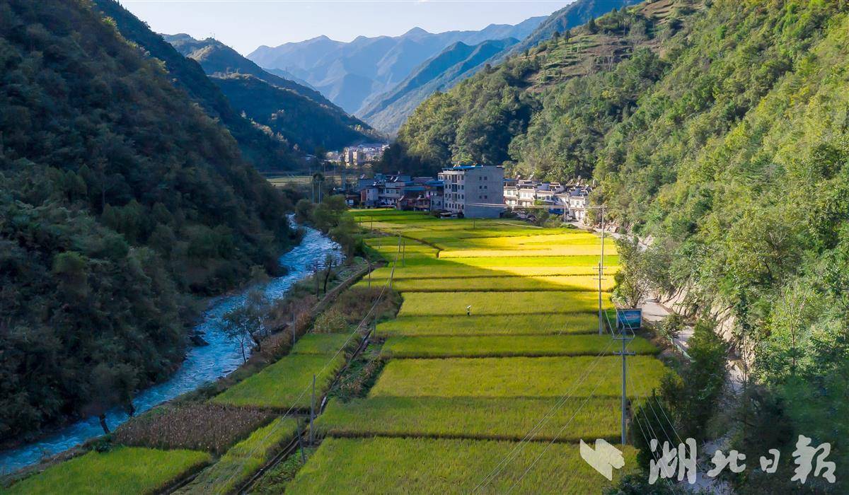 槐树林特场特色产业兴乡村