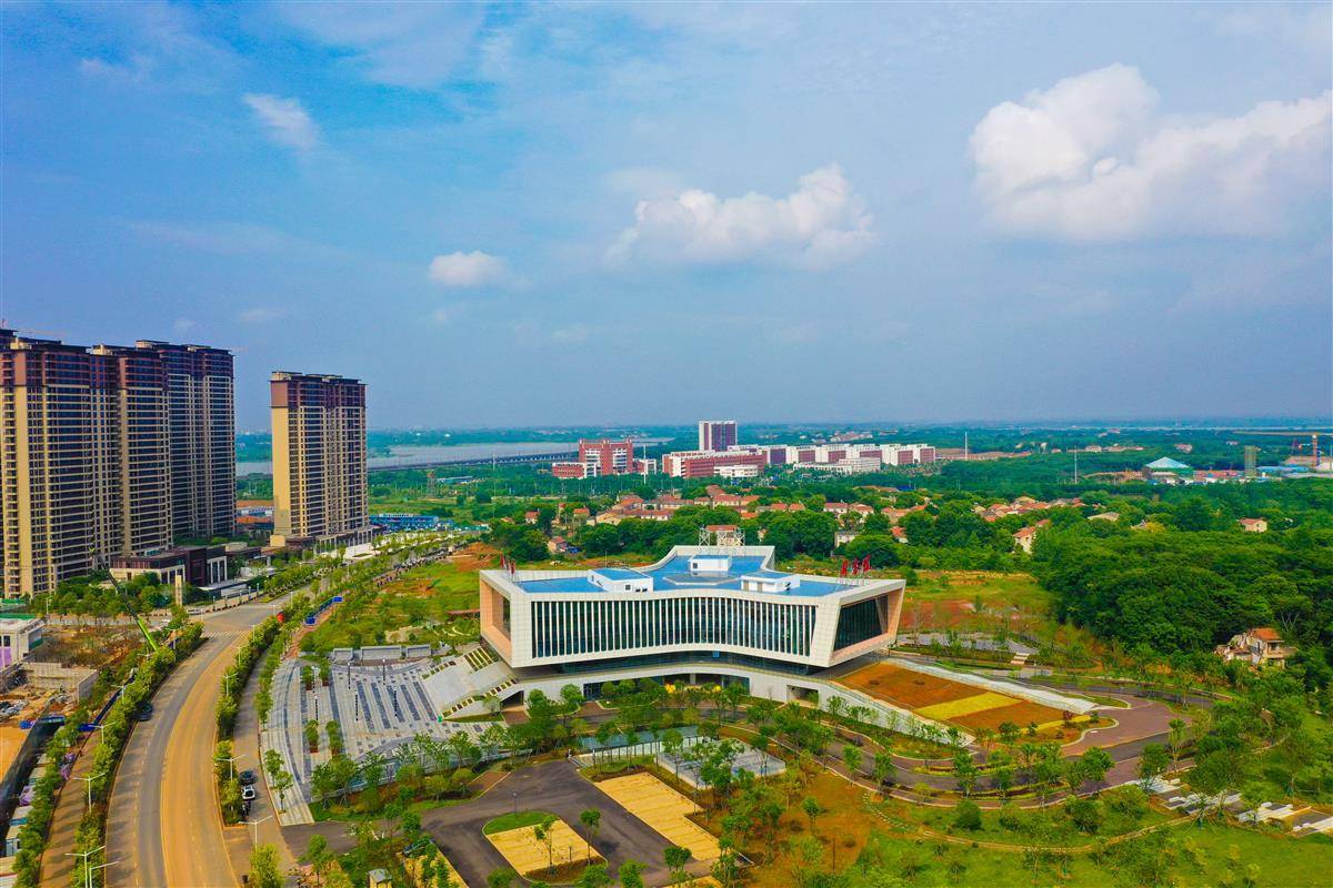 白鸟栖湖振翅高飞鄂州葛店居民有了家门口的图书馆