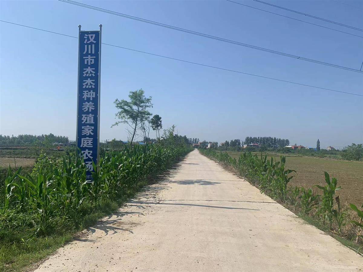仙桃家庭农场:从田间到餐桌的本地生鲜供应新模式