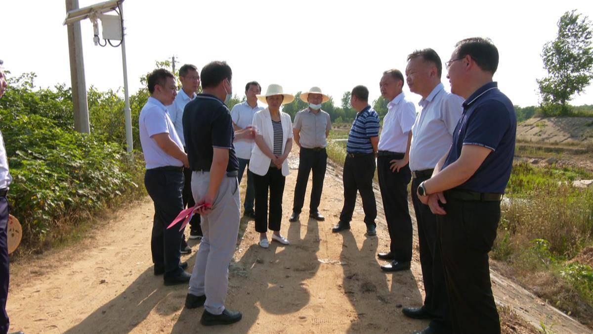 湖北日报讯(通讯员 康洪洲)6月17日,孝感市委常委,副市长程涛到孝昌