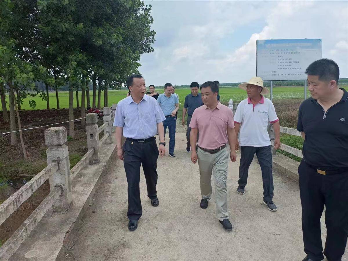 湖北日报讯(通讯员张荣华)6月21日上午,省农业农村厅副厅长李胜强一行