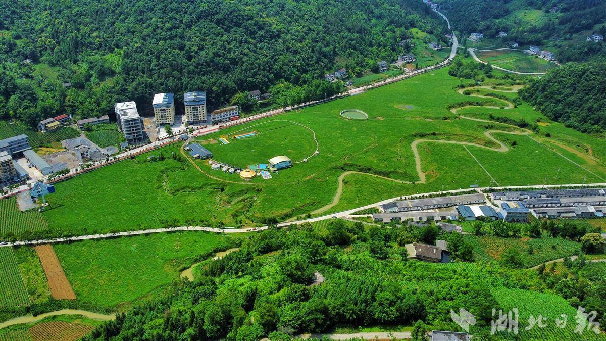 湖北日報客戶端通訊員譚華入夏,恩施市板橋鎮讓水壩草場,青青的草地