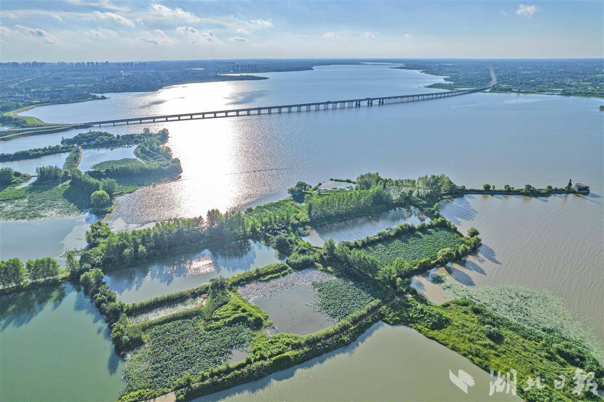 7月5日,雨后的荆州市长湖风景旖旎.
