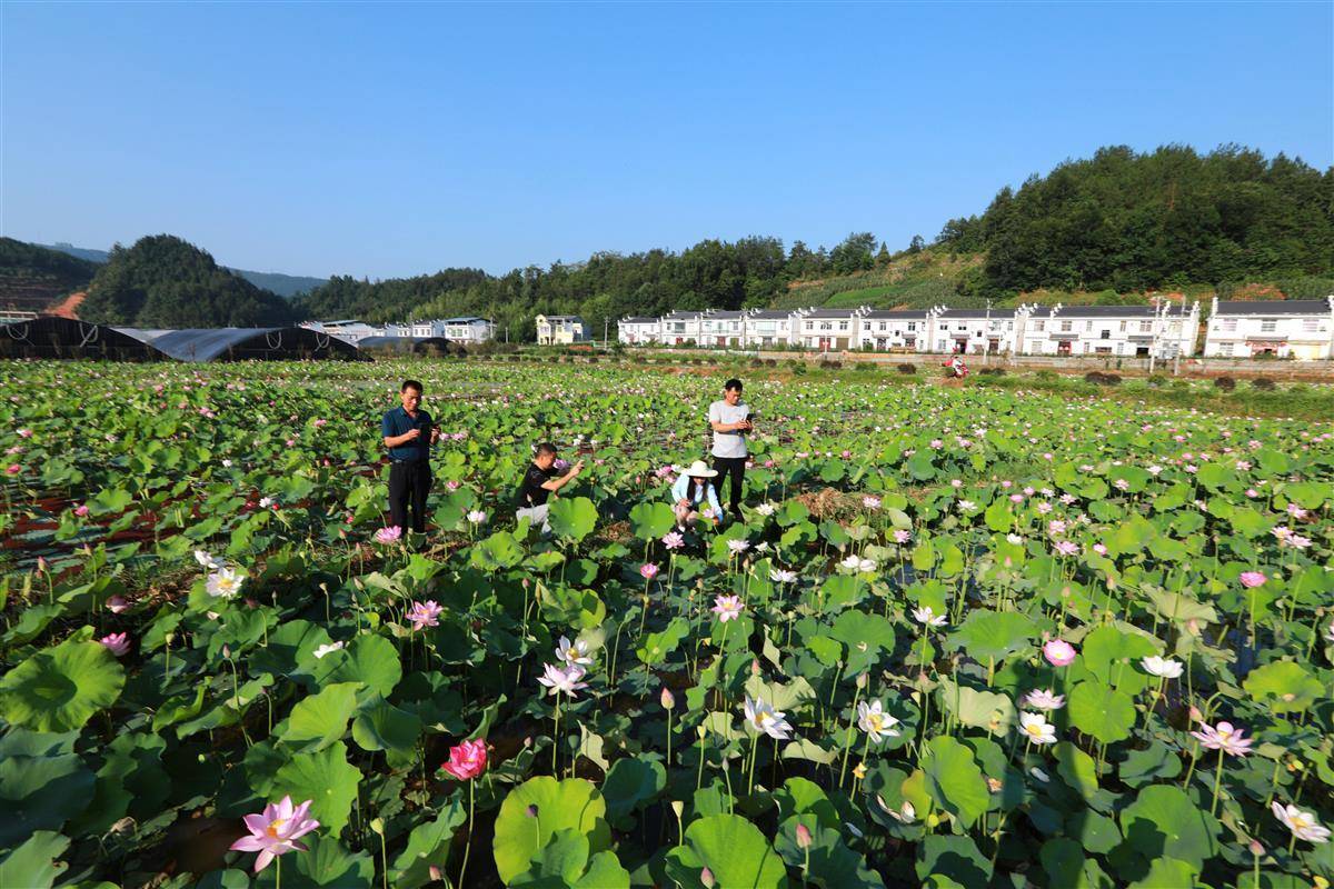 十堰市竹山县宝丰镇图片