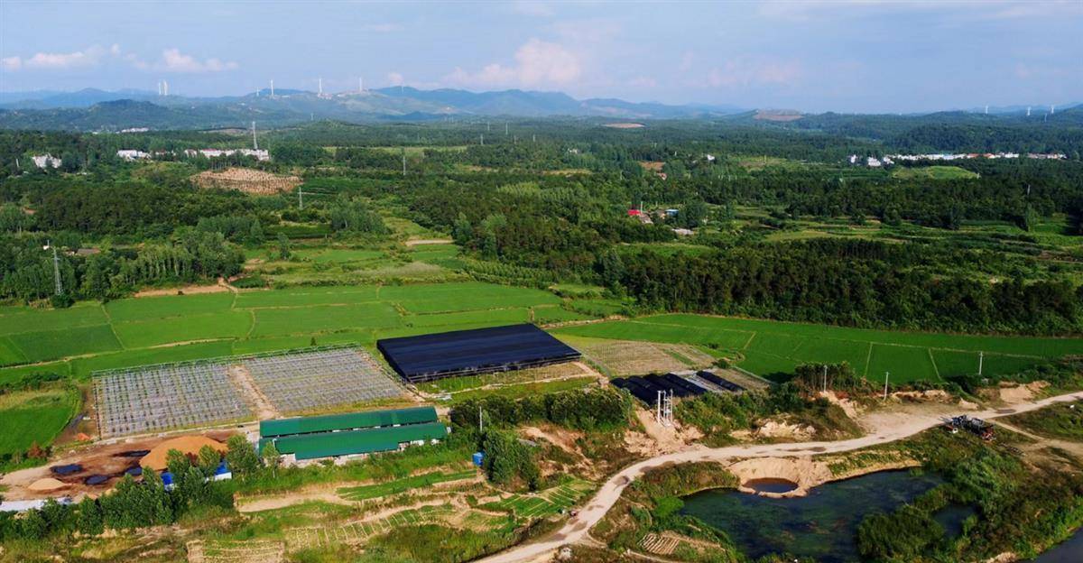 随县殷店镇一台变压器化解三方难