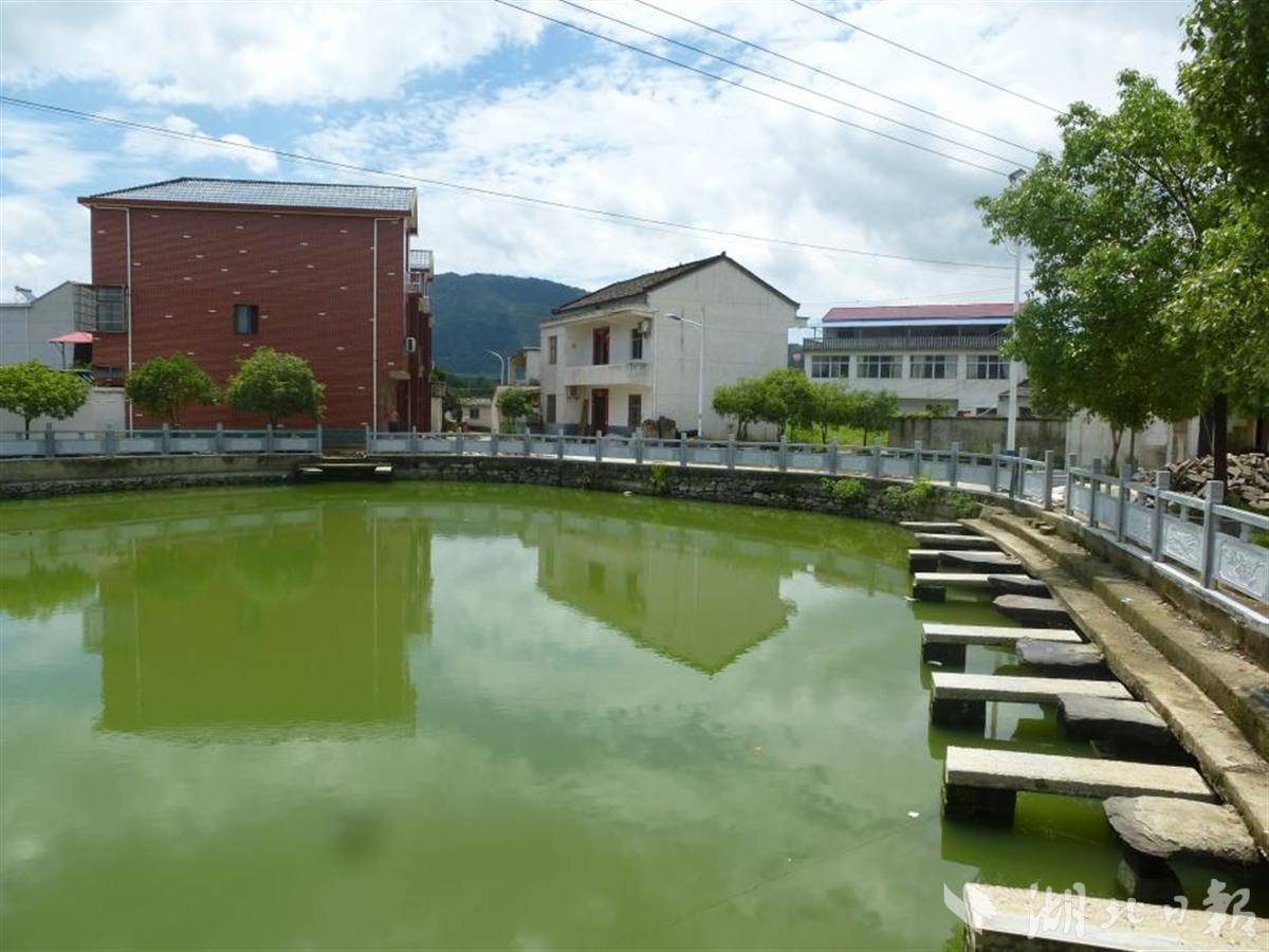 大冶市刘仁八镇全力推进农村人居环境整治