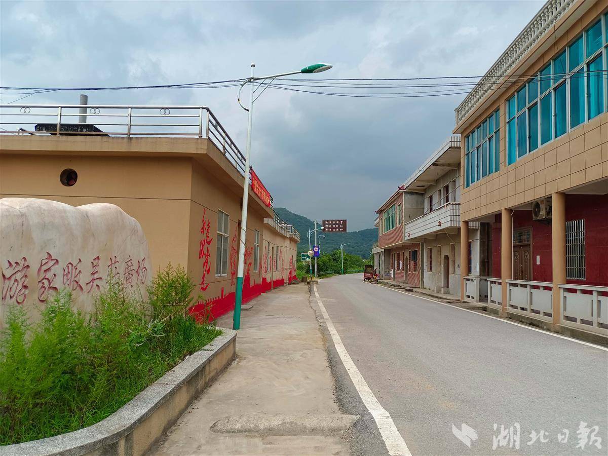 【美好环境与幸福生活共同缔造】推进共同缔造 美丽乡村入画来 - 湖北