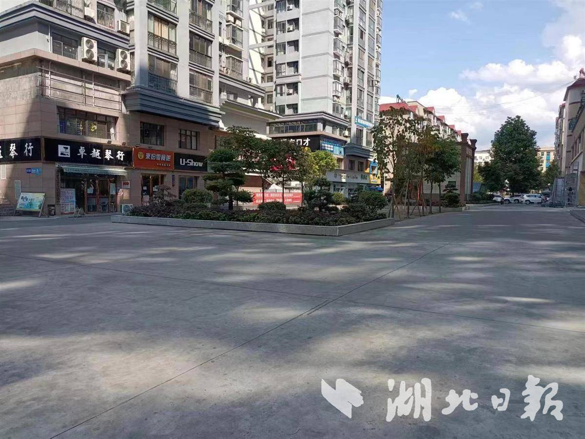 竹溪金竹广场285辆小汽车入库