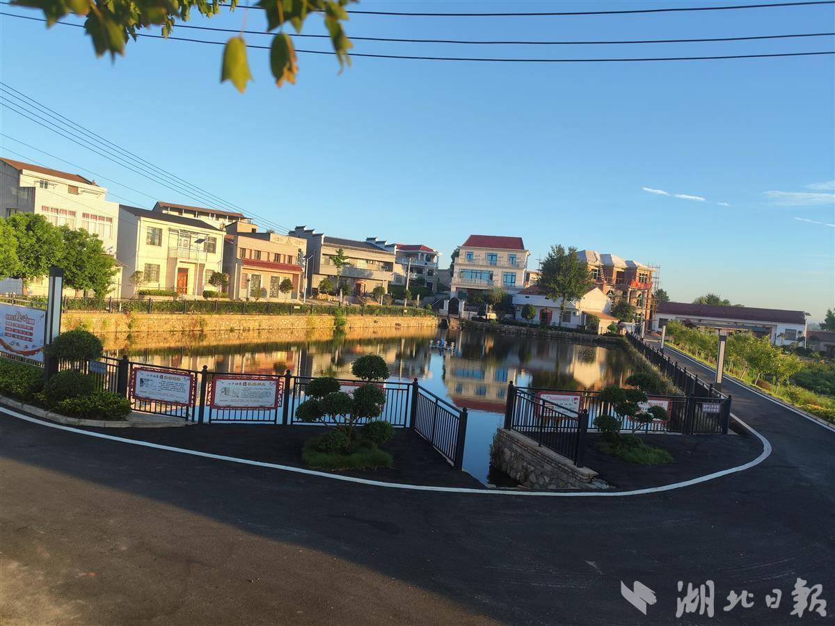 湖北日报讯(通讯员徐号)8月14日,走进大悟县河口镇李家坳湾,静塘碧水