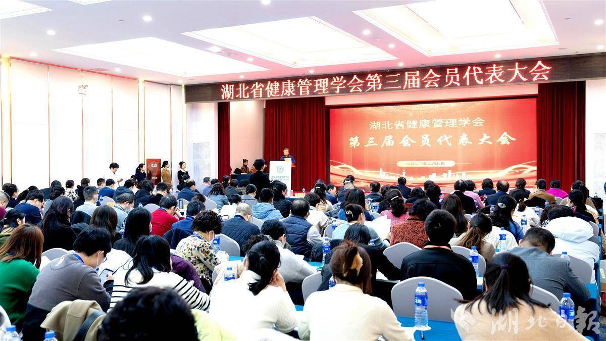 企业健康管理：提升生产力的关键