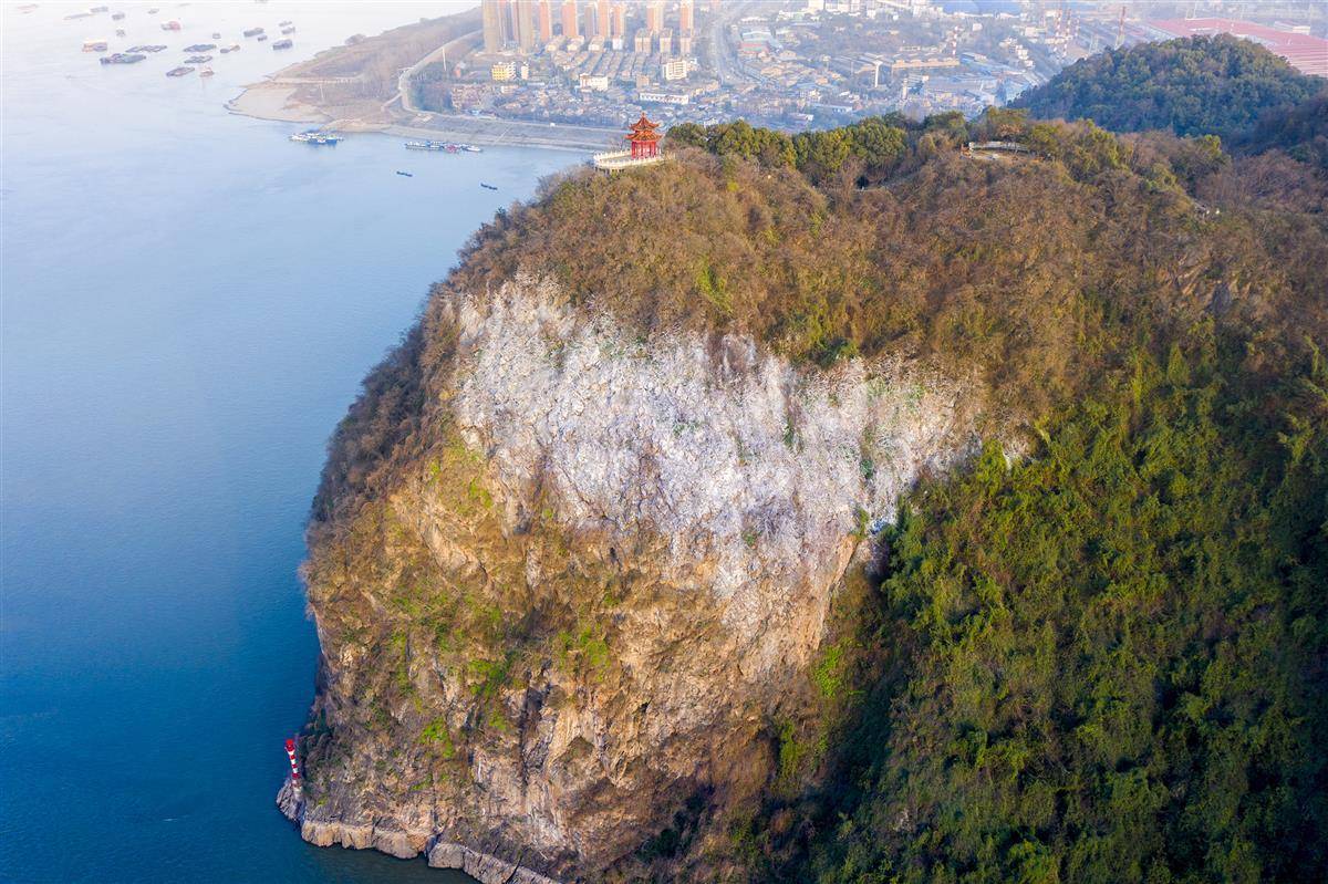 西塞山前白鹭飞 火树银花不夜天