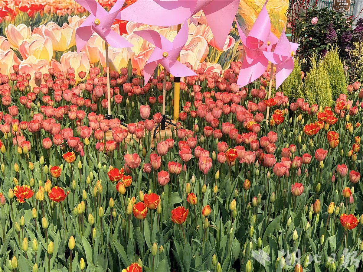 a065fb720ad8b042c05ecf23b34410de.jpg a065fb720ad8b042c05ecf23b34410de.jpg